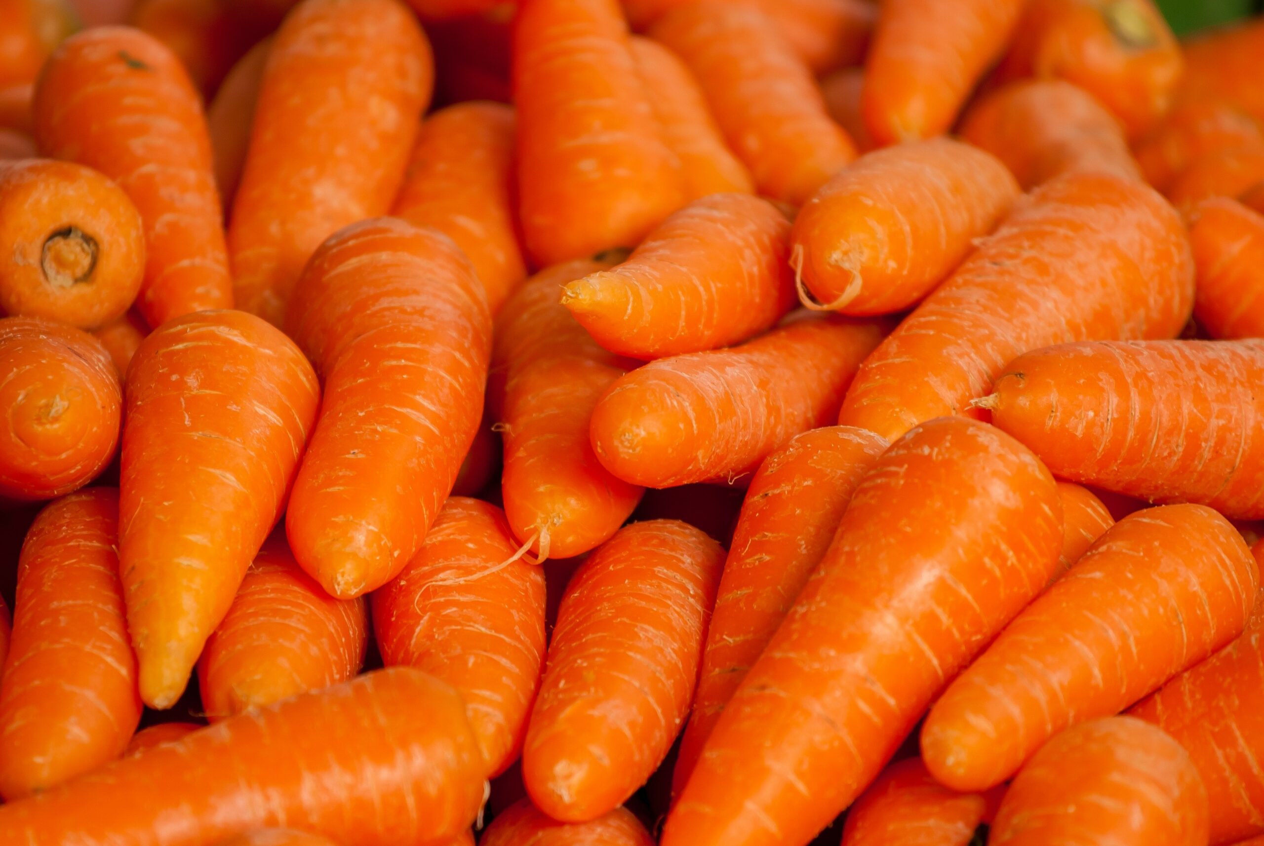 Морковь способствует улучшению иммунитета.