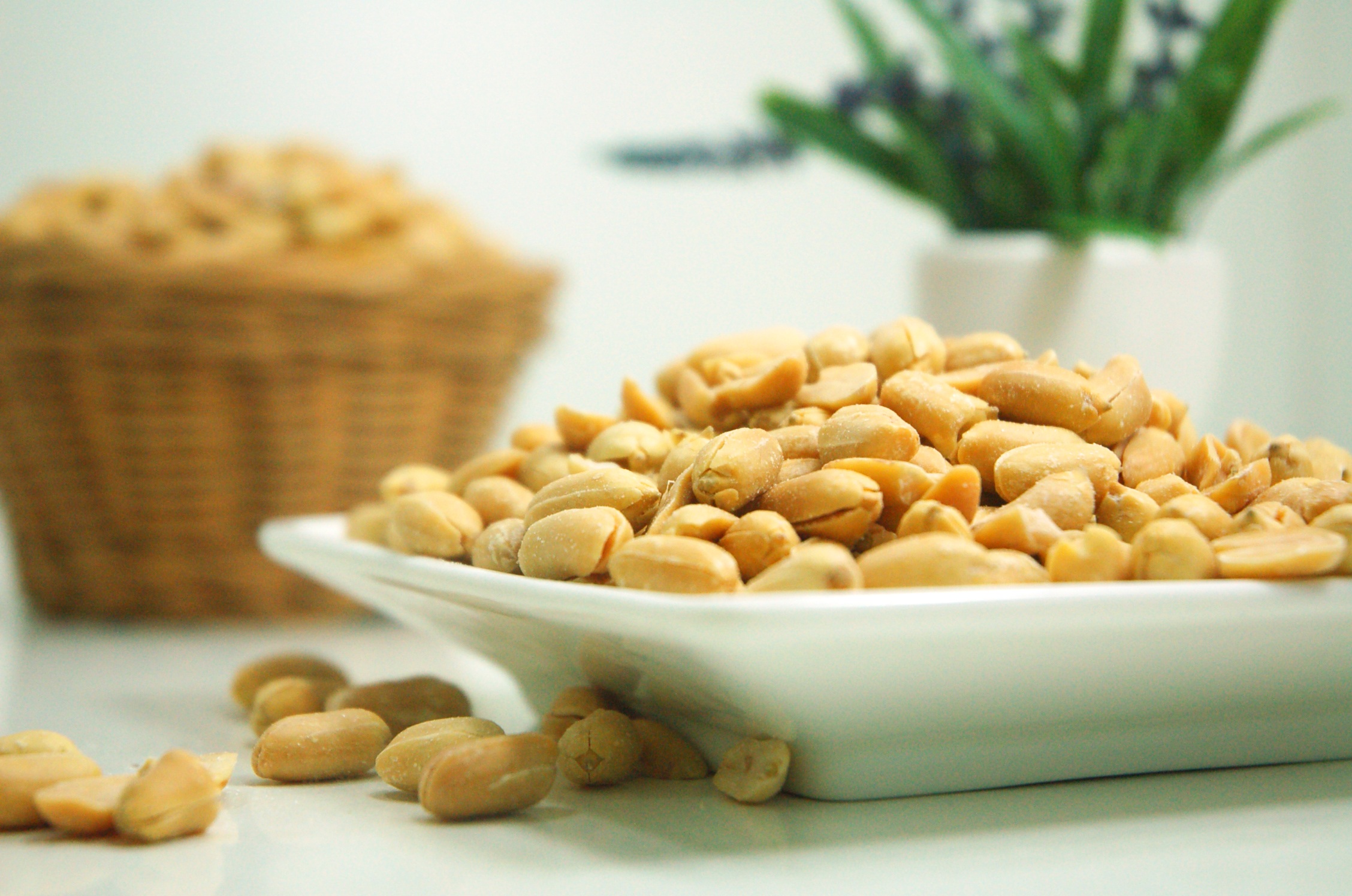 Орехи — незаменимый продукт для поддержания здоровья и красоты.